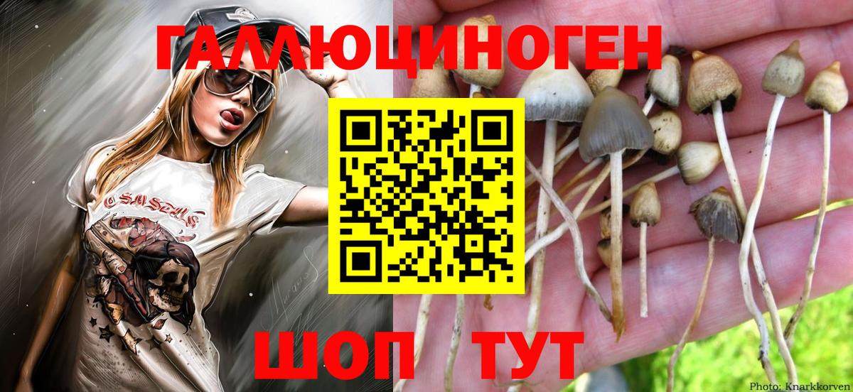 Псилоцибиновые грибы Cubensis  Вход с VPN  Псилоцибиновые грибы GOLDEN TEACHER  магазин продажи   Обнинск 